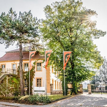 Stadtschloss Hecklingen*** Hecklingen  Buitenkant foto