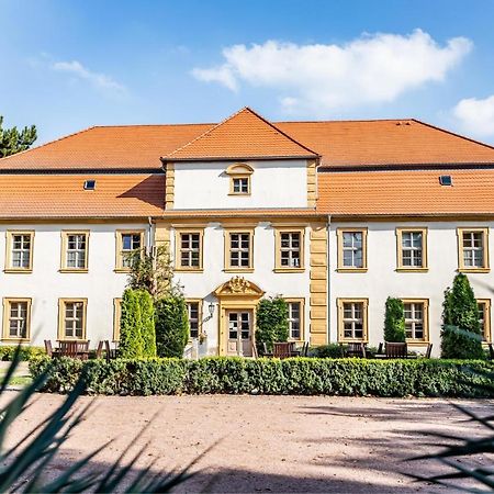 Stadtschloss Hecklingen*** Hecklingen  Buitenkant foto